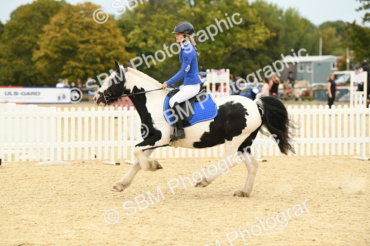 SBM_73035 - J16 - Junior Pony 75cm Championship