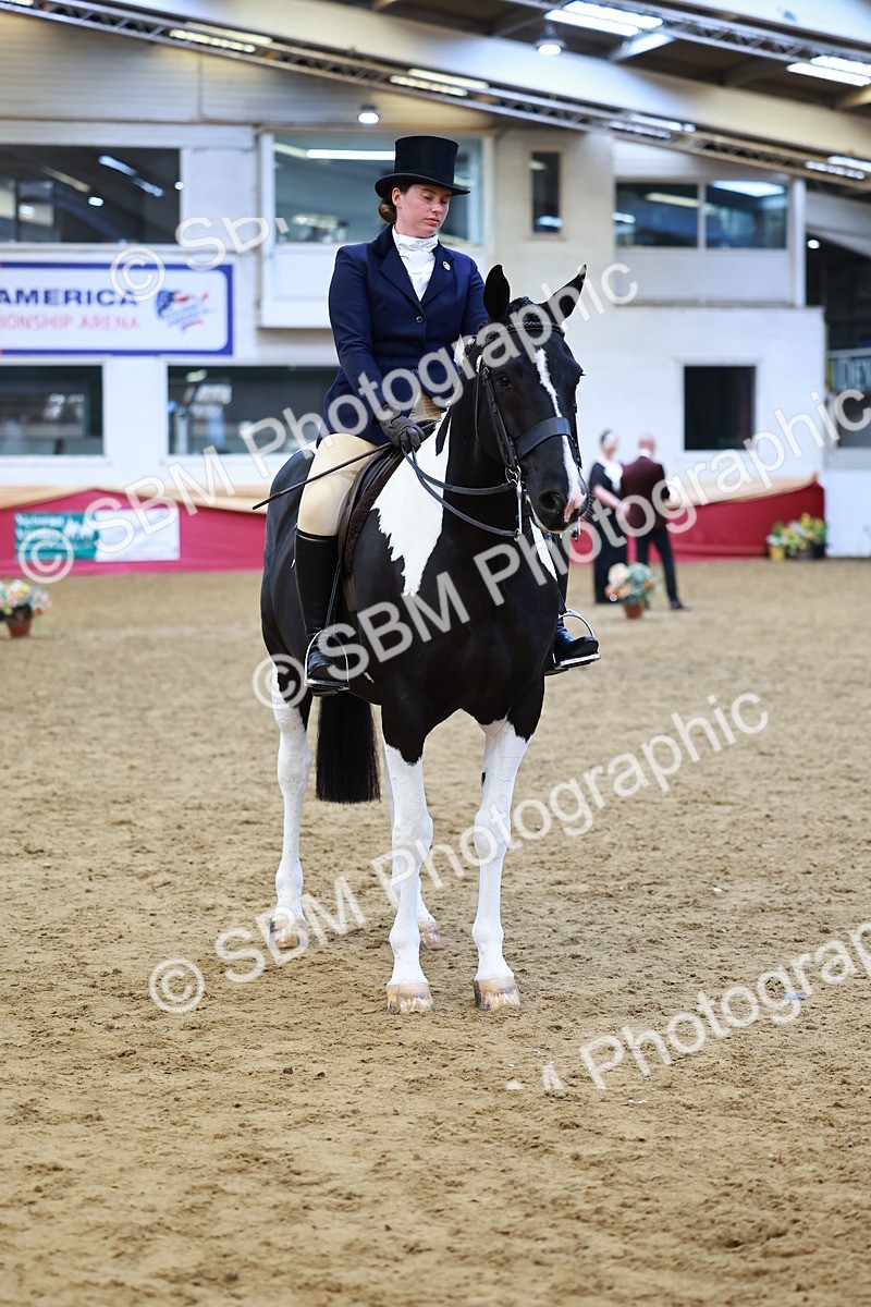 SBM_23419 - class 906 - Supreme Final - Ridden Pre Vet