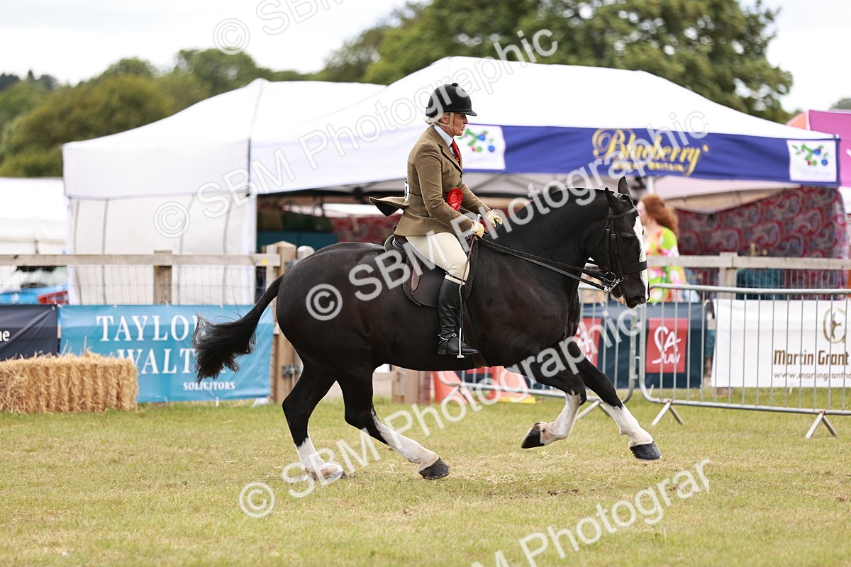 SBM_14104 - Class 85-87 - RIHS Cobs