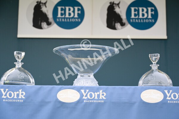 yr22072022r5-57 - Race 5 7.20pm British Stallion Studs EBF Lyric Fillies' Stakes