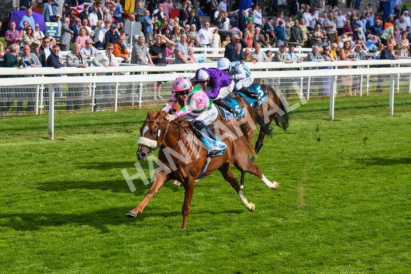 170523-Race 6-Mon Na Slieve-0795 - Race 6 4.45pm British EBF 40th Anniversary Novice Stakes