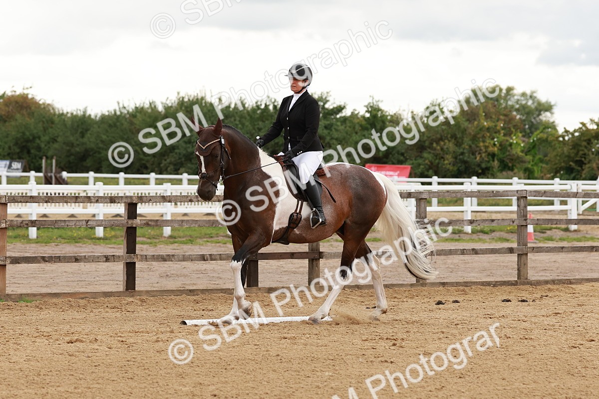 SBM_002766 - Novice 2