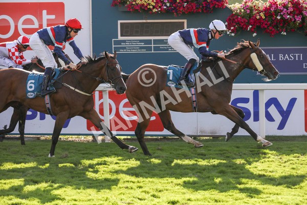 240824-Race 7-Sir Busker-9258 - Race 7 5.20pm Sky Bet Finale Handicap