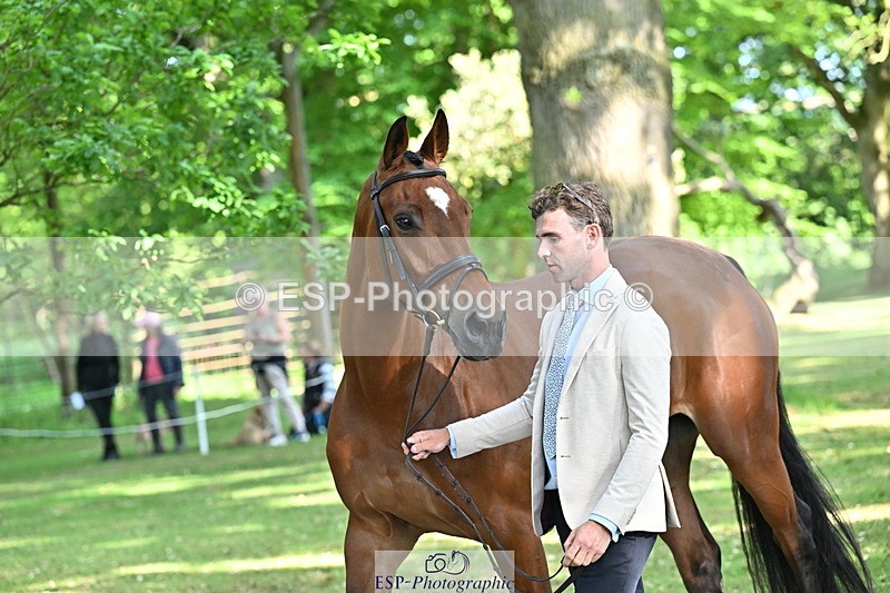 250521A-165056-01376 - C-269-Tom.Grant-NEW.NINI