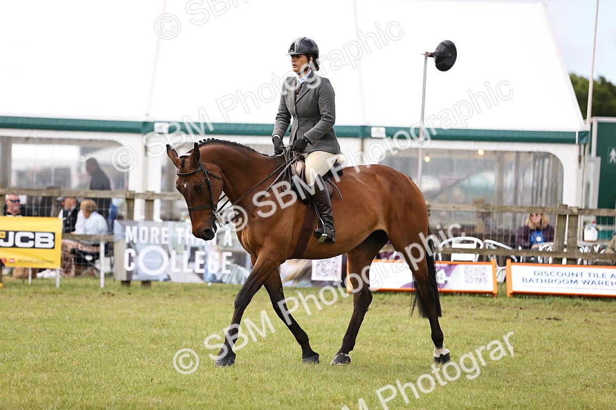 SBM_14685 - Class 88-89 - LIHS BSHA Rising Star of Ridden Hunter Type