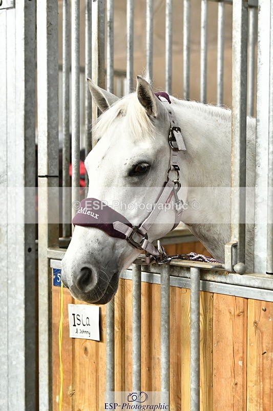 230804A-094419-02178 - Stable Shots