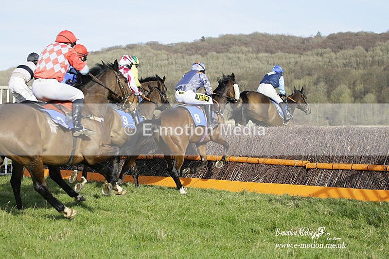 PtP 260222 719 - Kingston Blount Racing Club Point-to-Point 26/02/22