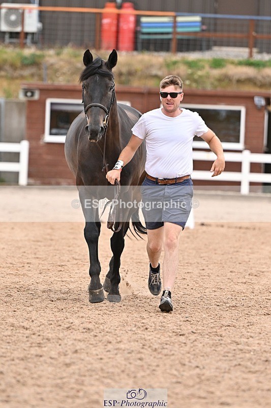 250716-160022-02329 - Trot Up 3.30 to 4.30