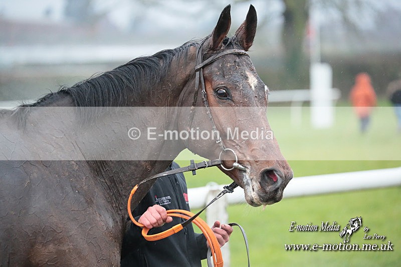 PtP 031223 275 - Wheatland Hunt PtP Chaddesley Races 03/12/23