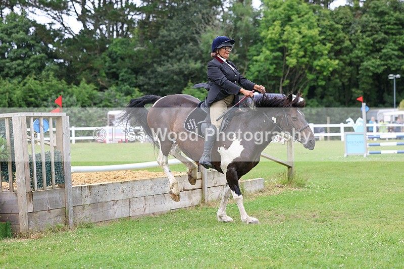 3E7A2100 - Class 6: Veteran 45 and over