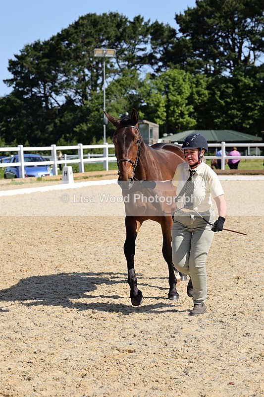 1X9A0799 - Class 4: Youngstock 1, 2, 3 year old to exceed 153cm