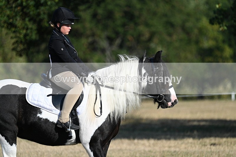 WJ7_8855 - Time 09:00 to 09:24