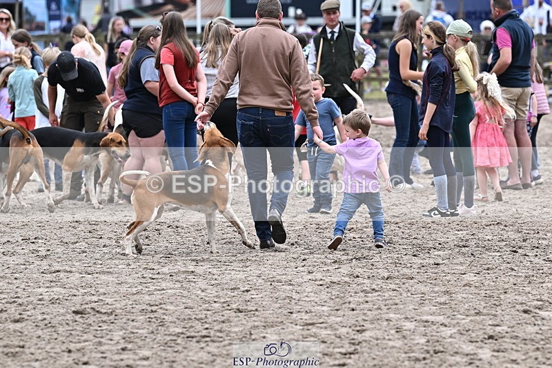 250524A-152515-12734 - East Devon Hounds