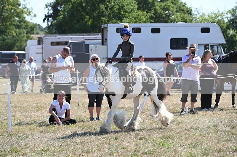 WJ6_8934 - Class 38 Ridden Riding Horse/Pony