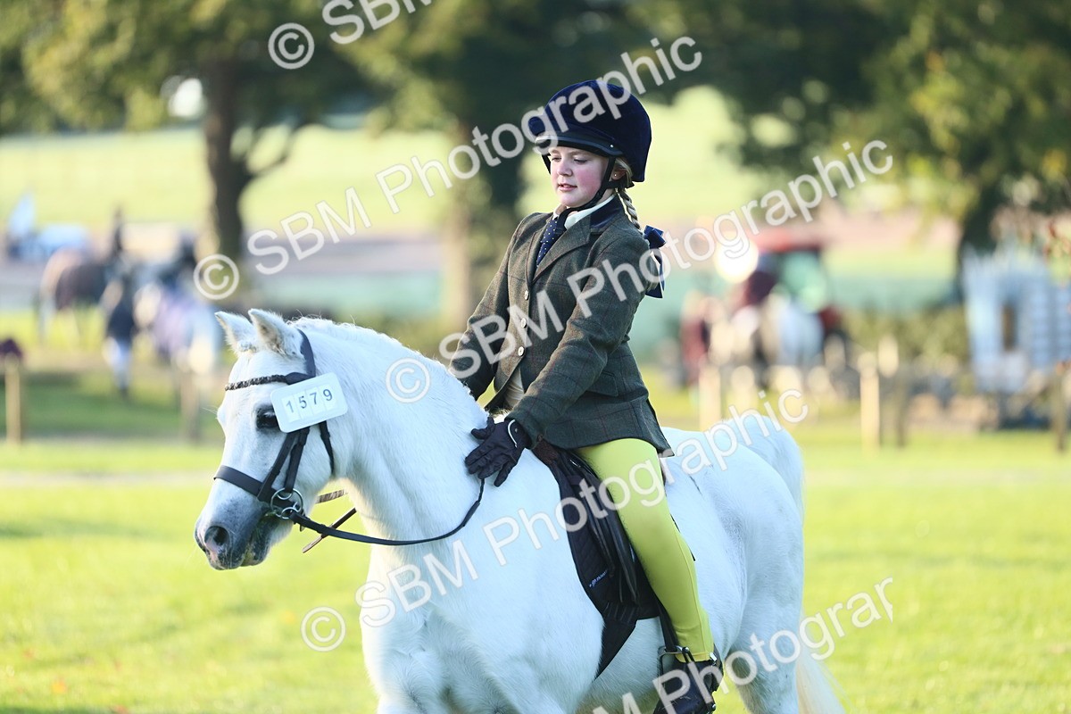 SBM_31756 - S28 - Nursery Stakes Working Hunter Pony