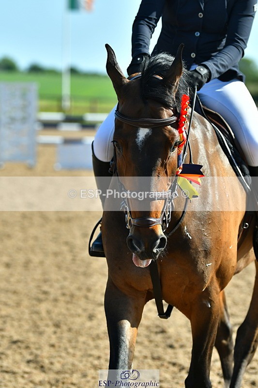 230526A-170731-02860 - Cls 7 Chard 1.20m Speed Derby