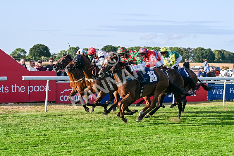 200726-Race 2-Opal Storm-6221 - Race 2 19.00pm Happy Birthday Katie Exon Handicap