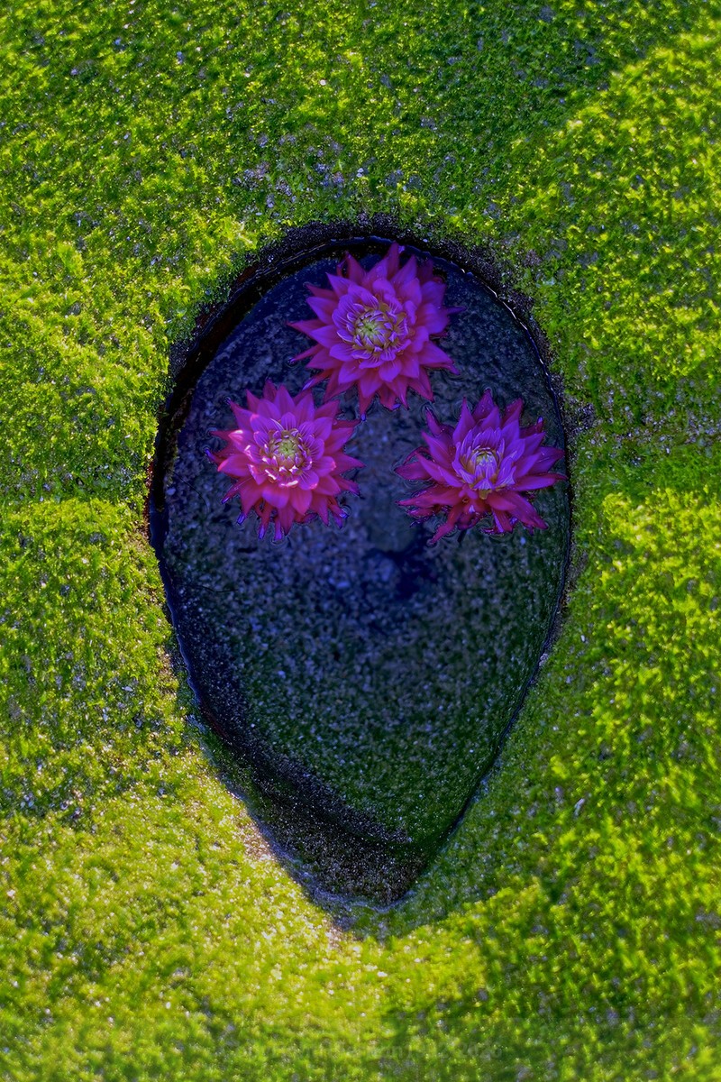 ENTROPY  TRIPTYCH XXll-XXlV - ENTROPY 2023