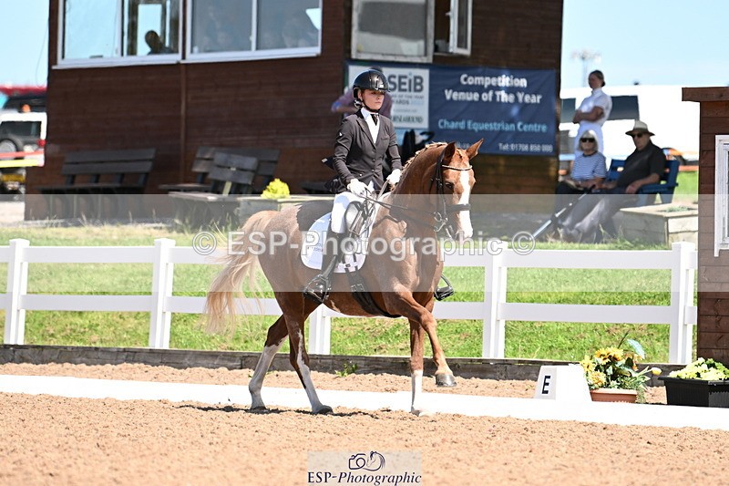 240816A-132001-05025 - 113-Ruby.Gumbley-Nova's.Golden.Dream