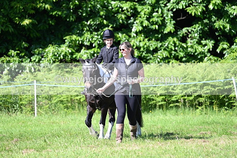 WJ7_0458 - Class 8 First Rally Pony