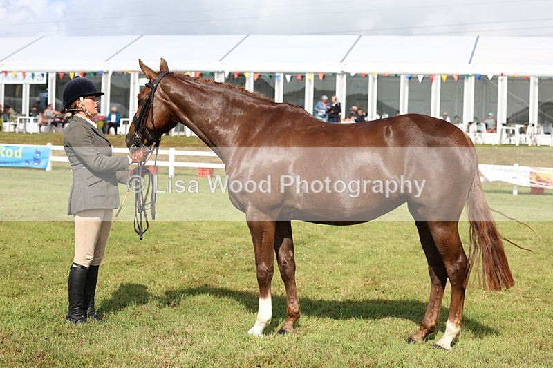 3E7A9036 - Class 3: Rising Star S/L Hunter