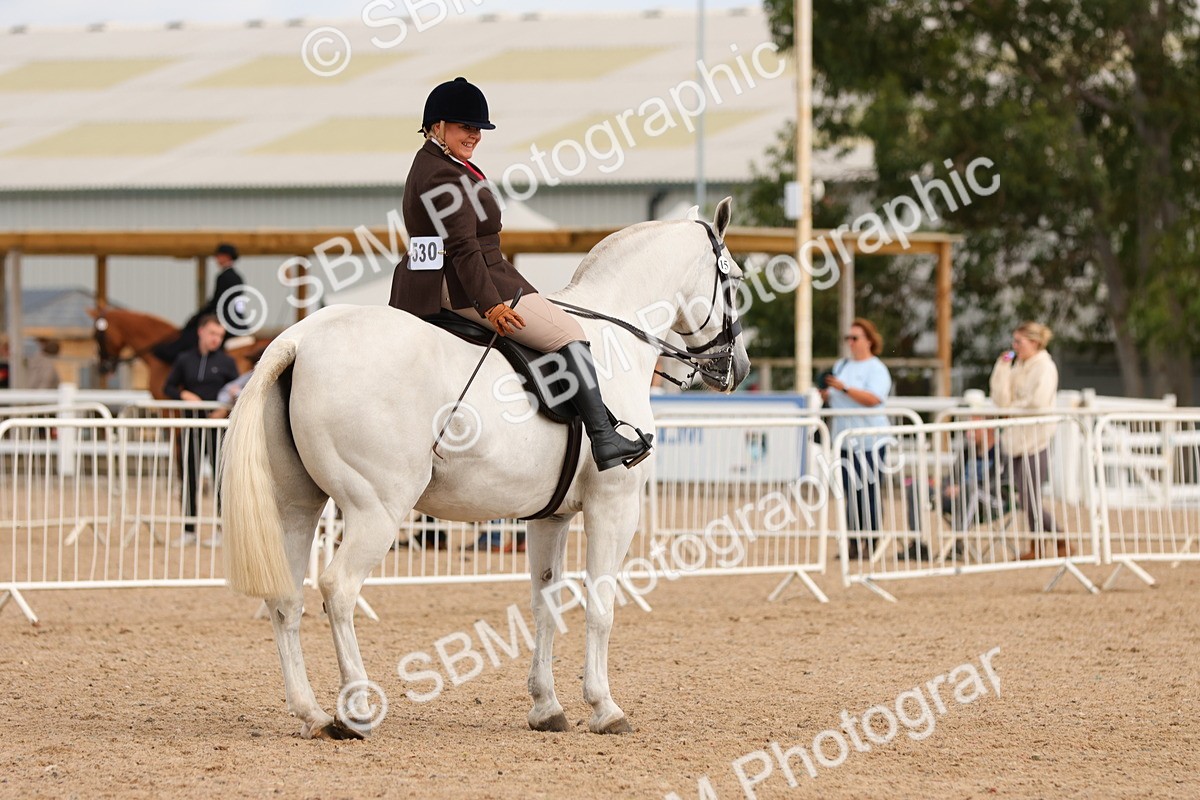 SBM_15563 - Class 214 - Ridden Show Cob