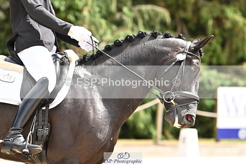 250808A-140628-00789 - 128-Joe.RoomeMonarchs.Way.Tobiah