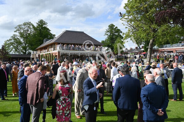 yr21052022r7-3 - Race 7: 5:15pm Reg Bond Always and Forever Stakes