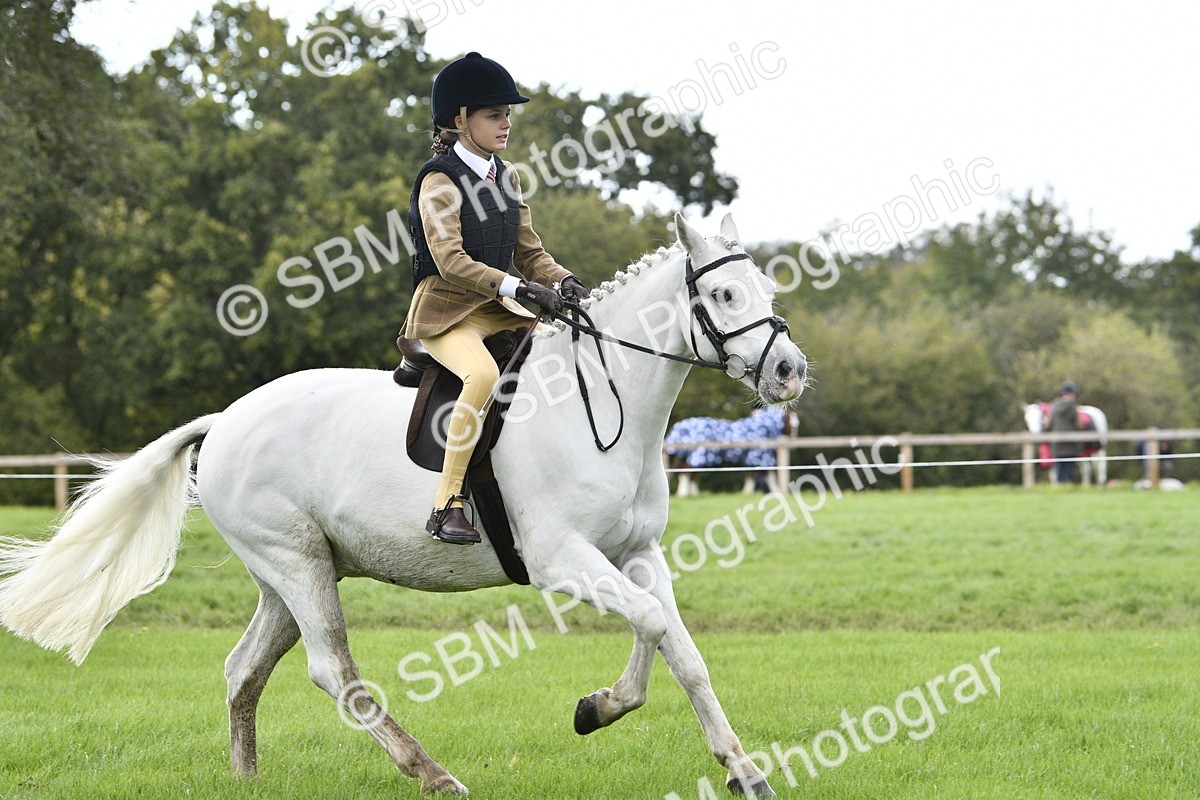 SBM_41548 - S32 - Mountain & Moorland Working Hunter Pony