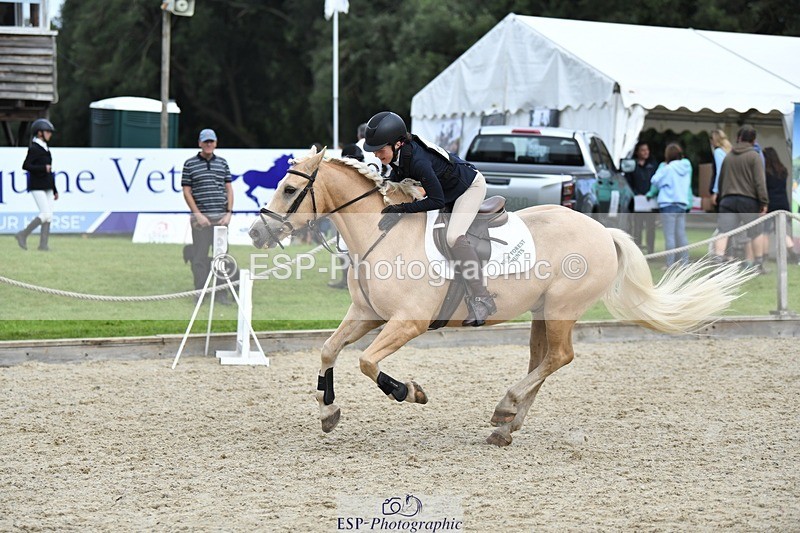 230827-143305-26418 - SJ 13.30 to End