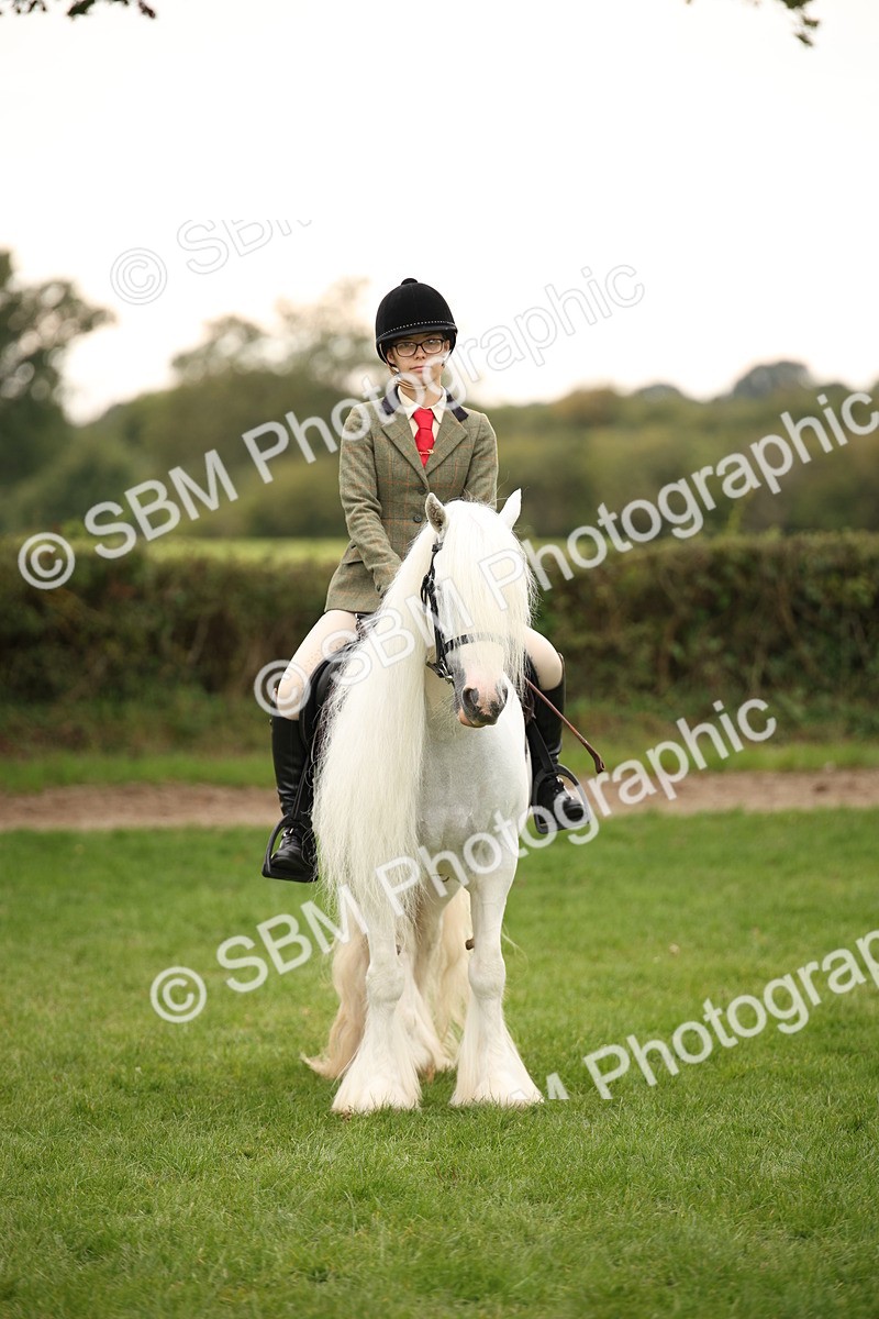 SBM_73565 - S68 - Traditional Cob Ridden