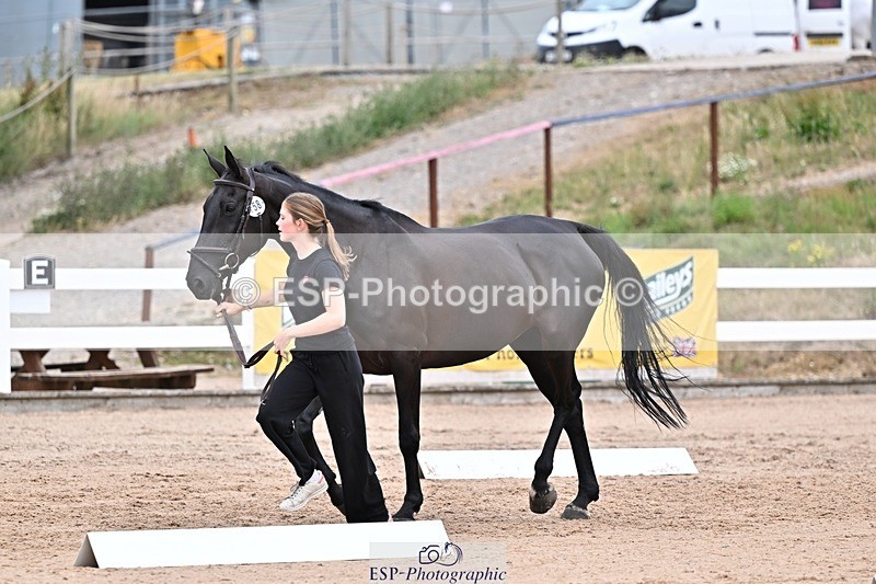 250716-134057-00621 - Trot Up 1.30 to 2.30