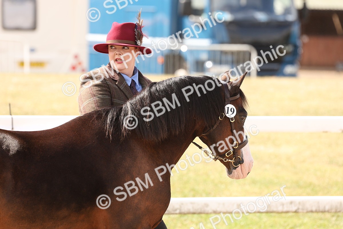 SBM_15012 - Class 209 - IH Veteran Pony