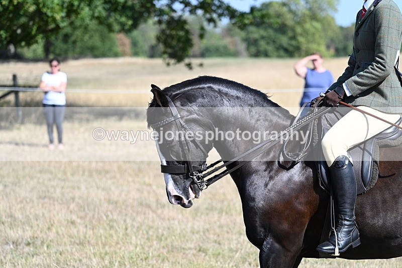 WJ7_3694 - Class 9 Mountain & Moorland Ridden