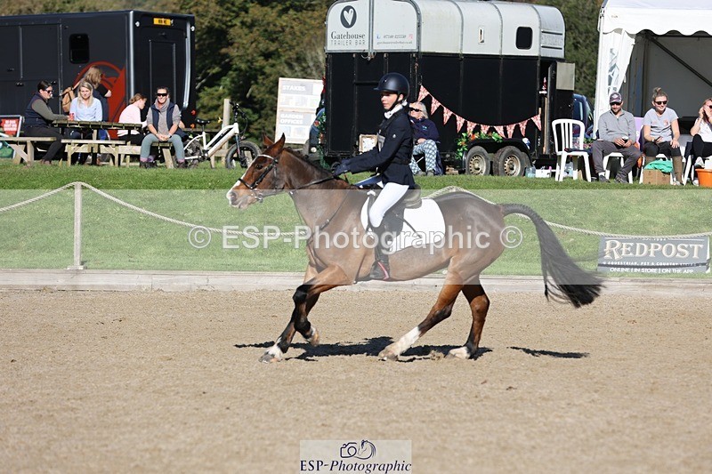 241027-112206-16730 - 375-Erin.Brown-50.SHADES.OF.BAY