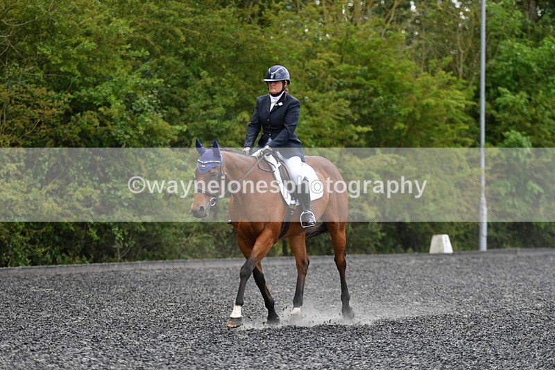 WJ5_0282 - Time 12:24 to 13:01