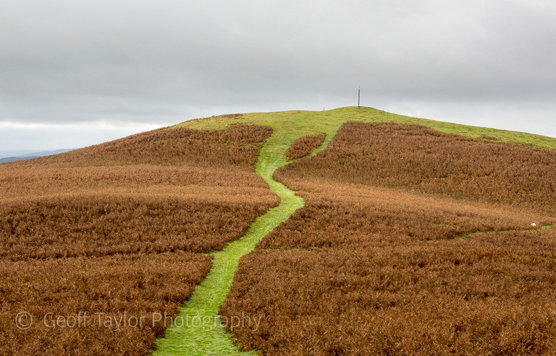 Ragleth Hill, south summit - Stretton Hills