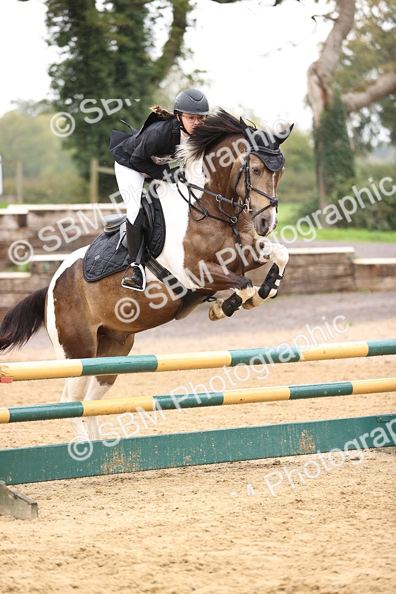 SBM_69997 - Supreme Championship 80cm 85cm