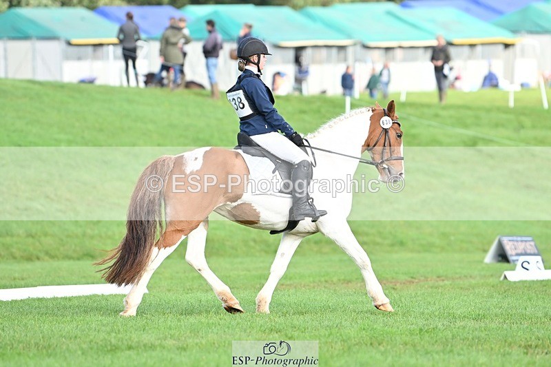 231020-102550-07618 - 638-I.FOUND.NEMO-Jacky.Jones-DR