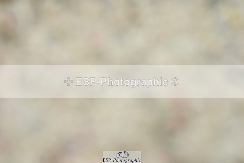 230708A-114158-01162 - Novice 23