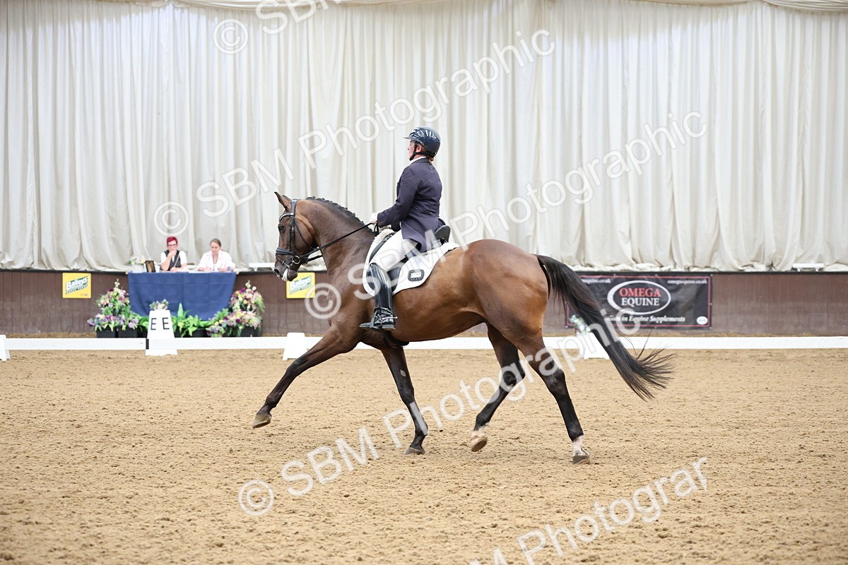 SBM_004541 - Class 9 - FEI Inter 1 Gold - 15.55-16.43