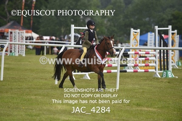 JAC_4284 - WORKING HUNTER CHAMPIONSHIP