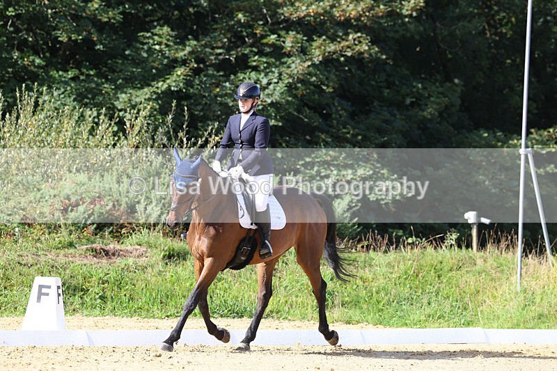 3E7A2552 - Class 1: Intro 4 2024 section A