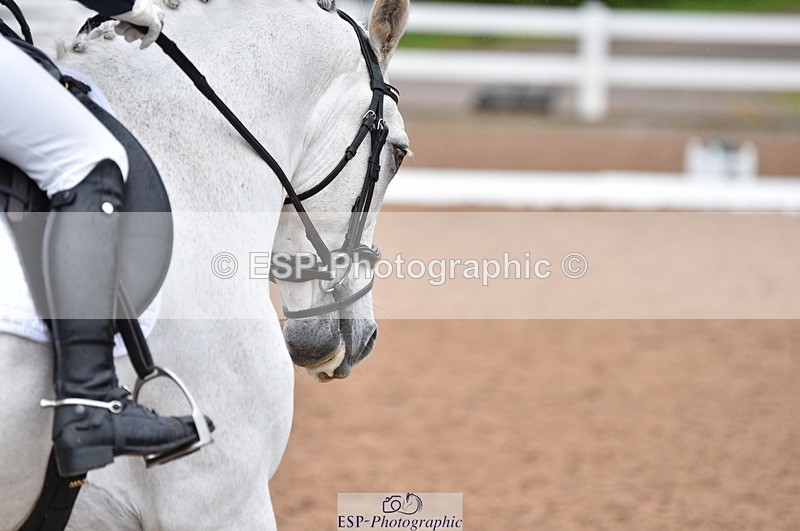 230511A-122513-00549 - BD Cls 8 Elementary 59