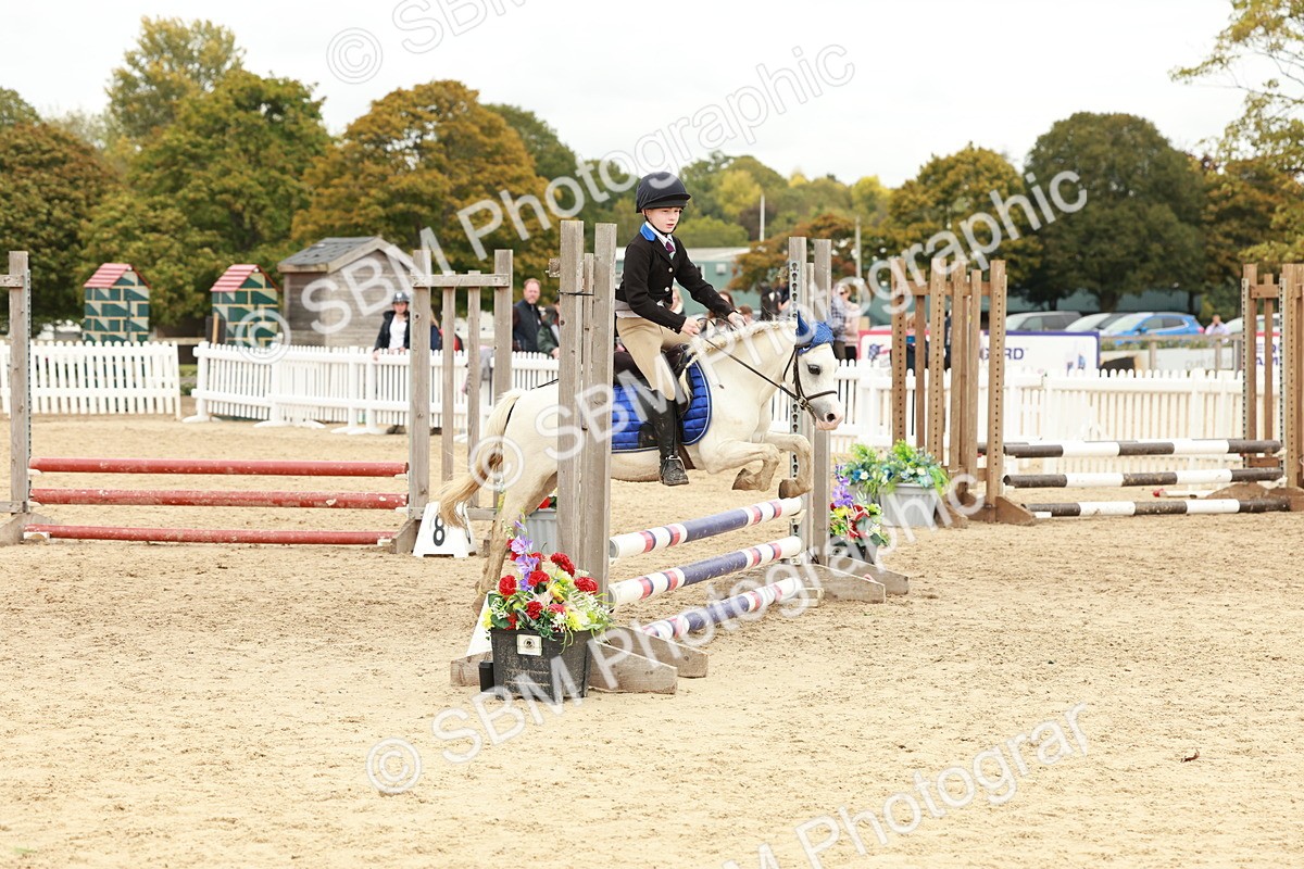 SBM_65246 - Supreme Championship 50cm & 55cm