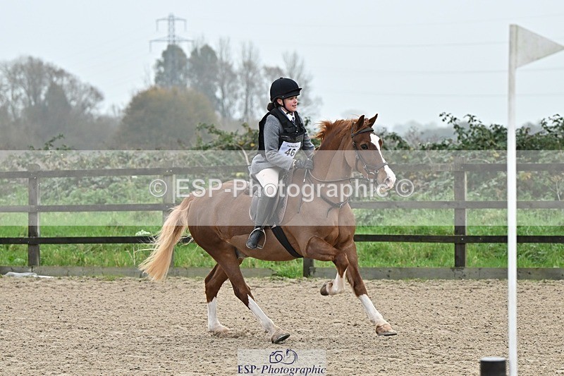 241110-100435-00180 - 40cm Showjumping