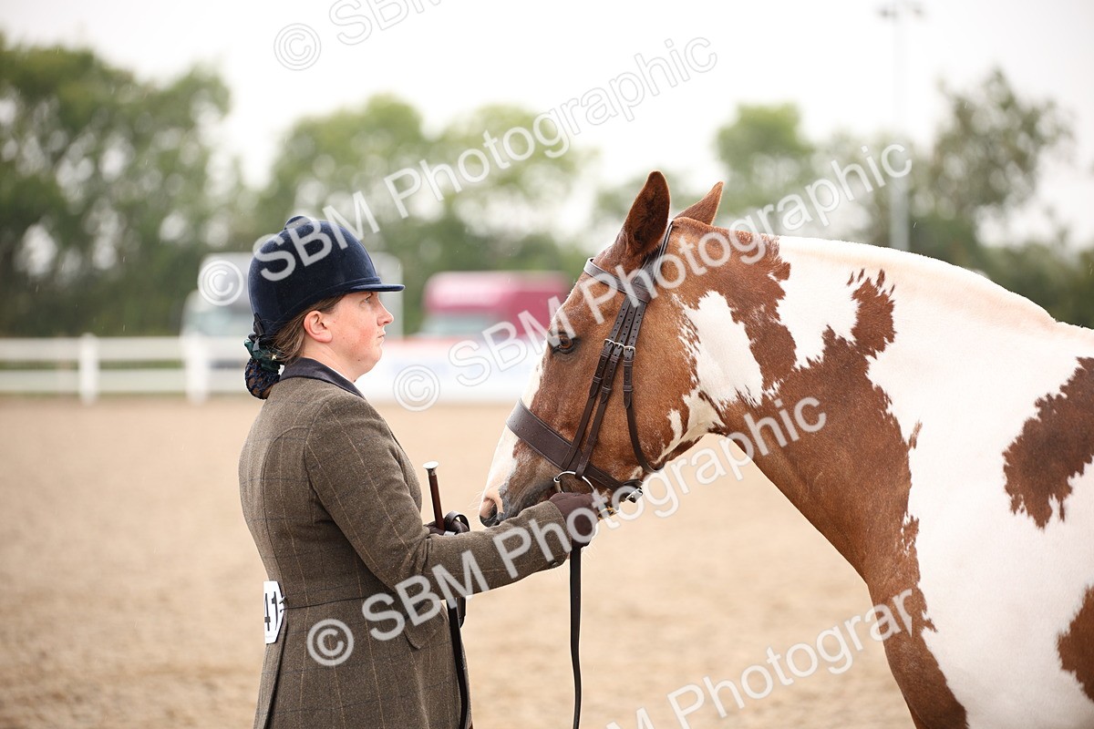 SBM_20136 - Class 702 - IH  Show Horse Pony
