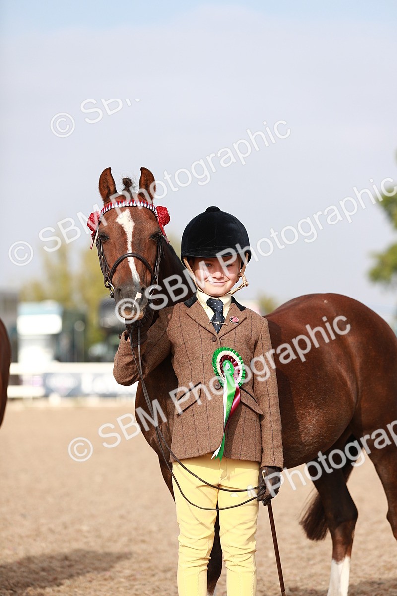 SBM_09942 - Class 203 Young Handler, 10 years and under