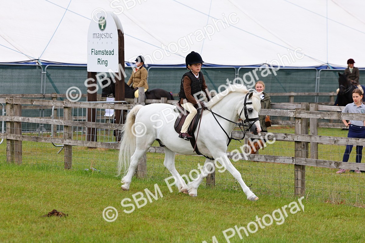 SBM_08473 - Class 42-43 - LIHS BSPS Heritage Working Sports Pony