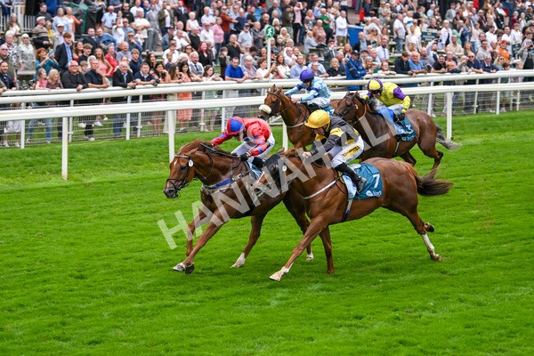 080925-Race 2-Alzahir-7424 - Race 2 3.00pm Sky Bet Super Sub Sprint Handicap
